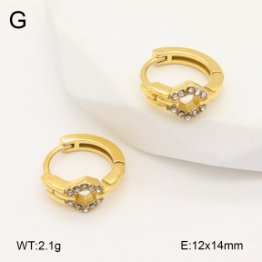 2E4004851ahjb-226  Stainless Steel Earrings