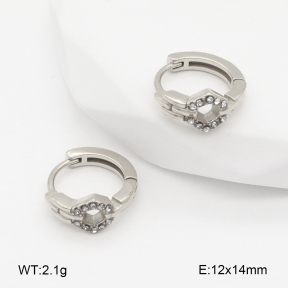 2E4004852vhha-226  Stainless Steel Earrings