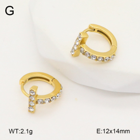 2E4004853ahjb-226  Stainless Steel Earrings