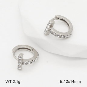 2E4004854vhha-226  Stainless Steel Earrings