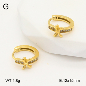 2E4004855ahjb-226  Stainless Steel Earrings