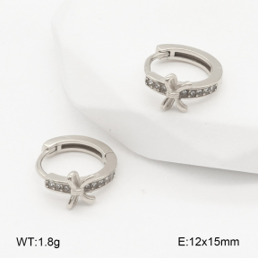 2E4004856vhha-226  Stainless Steel Earrings