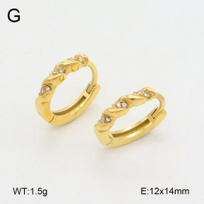 2E4004857ahjb-226  Stainless Steel Earrings
