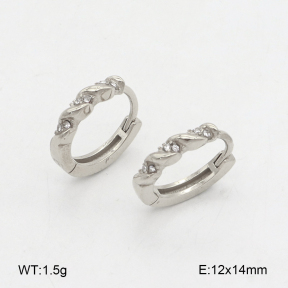 2E4004858vhha-226  Stainless Steel Earrings