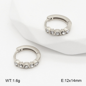 2E4004860vhha-226  Stainless Steel Earrings