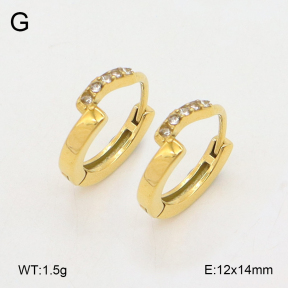 2E4004861ahjb-226  Stainless Steel Earrings