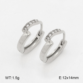 2E4004862vhha-226  Stainless Steel Earrings