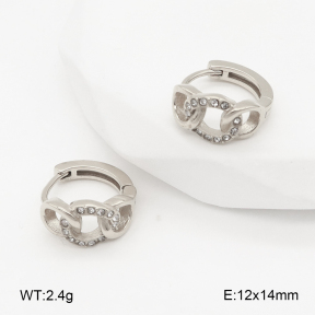 2E4004864vhha-226  Stainless Steel Earrings