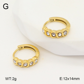 2E4004865ahjb-226  Stainless Steel Earrings