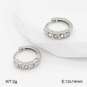 2E4004866vhha-226  Stainless Steel Earrings