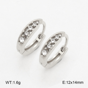 2E4004868vhha-226  Stainless Steel Earrings