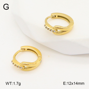 2E4004869ahjb-226  Stainless Steel Earrings