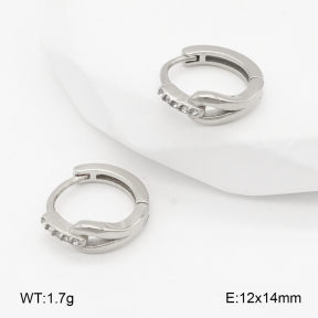 2E4004870vhha-226  Stainless Steel Earrings