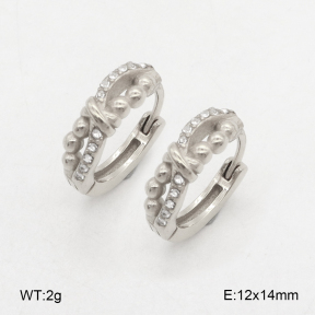2E4004872bhia-226  Stainless Steel Earrings