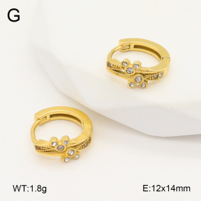 2E4004873ahjb-226  Stainless Steel Earrings