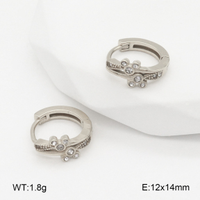 2E4004874vhha-226  Stainless Steel Earrings