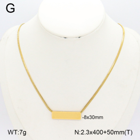 2N2007984aako-452  Stainless Steel Necklace