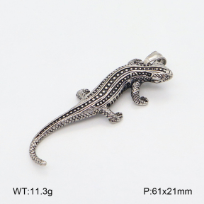 2P2005264bhva-226  Stainless Steel Pendant