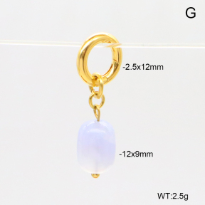 6BC000229vhha-908  Agate  Stainless Steel Bikini Charms