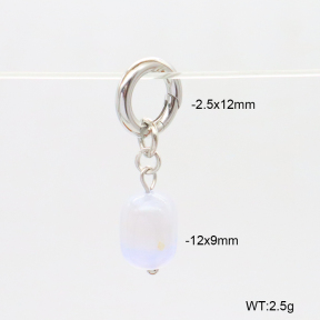 6BC000230bhva-908  Agate  Stainless Steel Bikini Charms