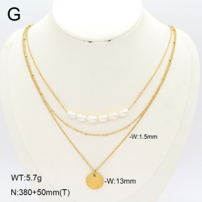 2N3003157vbpb-749  Stainless Steel Necklace