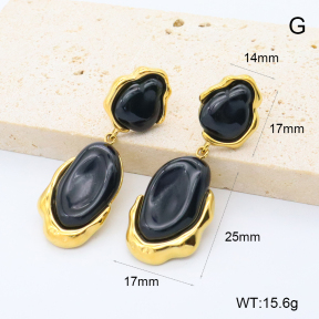 GEE002796vhkb-066  316 Pin 18K PVD Resin,Handmade Polished  Stainless Steel Earrings  BC24110333E-BK