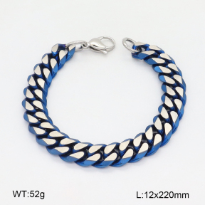 2B2005006ahlv-397  Stainless Steel Bracelet