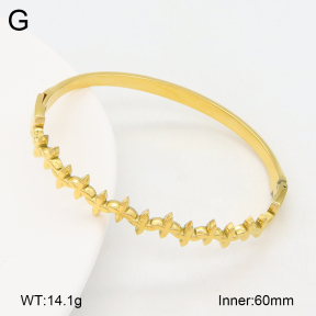 2BA202383bhjl-452  Stainless Steel Bangle