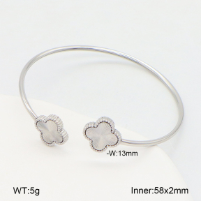 2BA202392vbpb-355  Stainless Steel Bangle