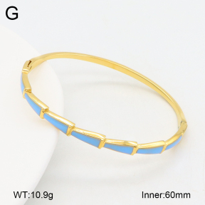 2BA300558bhjl-452  Stainless Steel Bangle