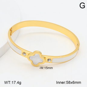 2BA300569vbnb-478  Stainless Steel Bangle