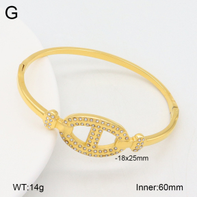 2BA402580bhjl-452  Stainless Steel Bangle