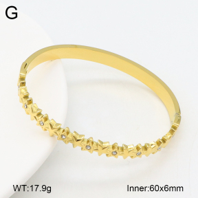 2BA402593bhjl-452  Stainless Steel Bangle