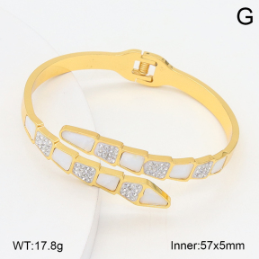 2BA402653vbpb-478  Stainless Steel Bangle