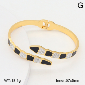 2BA402654vbpb-478  Stainless Steel Bangle