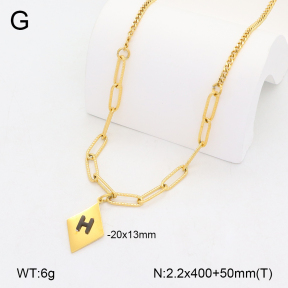 2N2008064ablb-749  Stainless Steel Necklace