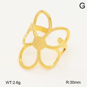 2R2002181vail-355  Stainless Steel Ring