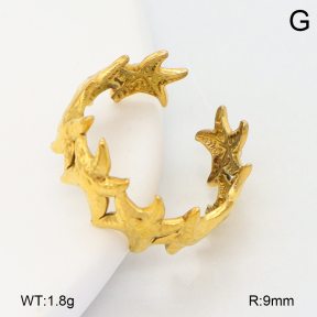 2R2002186vail-355  Stainless Steel Ring