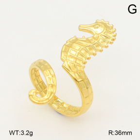 2R2002187vail-355  Stainless Steel Ring