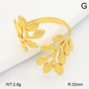 2R2002195vail-355  Stainless Steel Ring