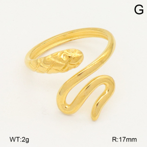 2R2002198vail-355  Stainless Steel Ring