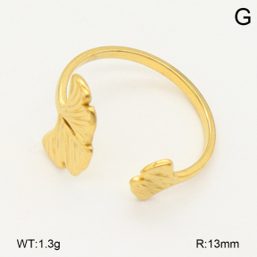 2R2002200vail-355  Stainless Steel Ring