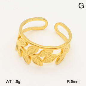 2R2002202vail-355  Stainless Steel Ring