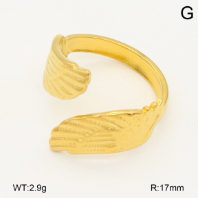 2R2002203vail-355  Stainless Steel Ring