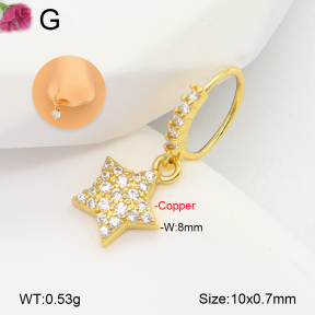 F2PU50061aajl-J147  Fashion Copper Body Jewelry
