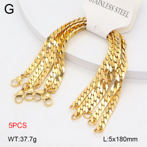 2B2005130vihb-625  Stainless Steel Bracelet