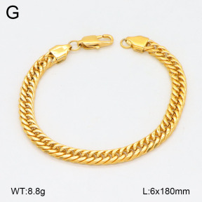 2B2005146bvpl-625  Stainless Steel Bracelet