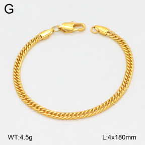 2B2005148vbpb-625  Stainless Steel Bracelet