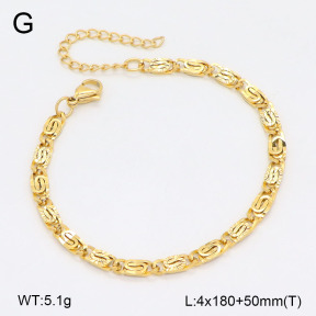 2B2005050vbll-452  Stainless Steel Bracelet