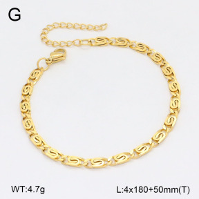 2B2005051vbll-452  Stainless Steel Bracelet